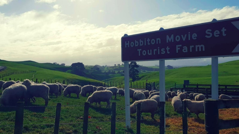 Join us for an affordable, small group day tour to the famous Hobbiton movie set and discover the scenes known across the world as pure middle earth. 